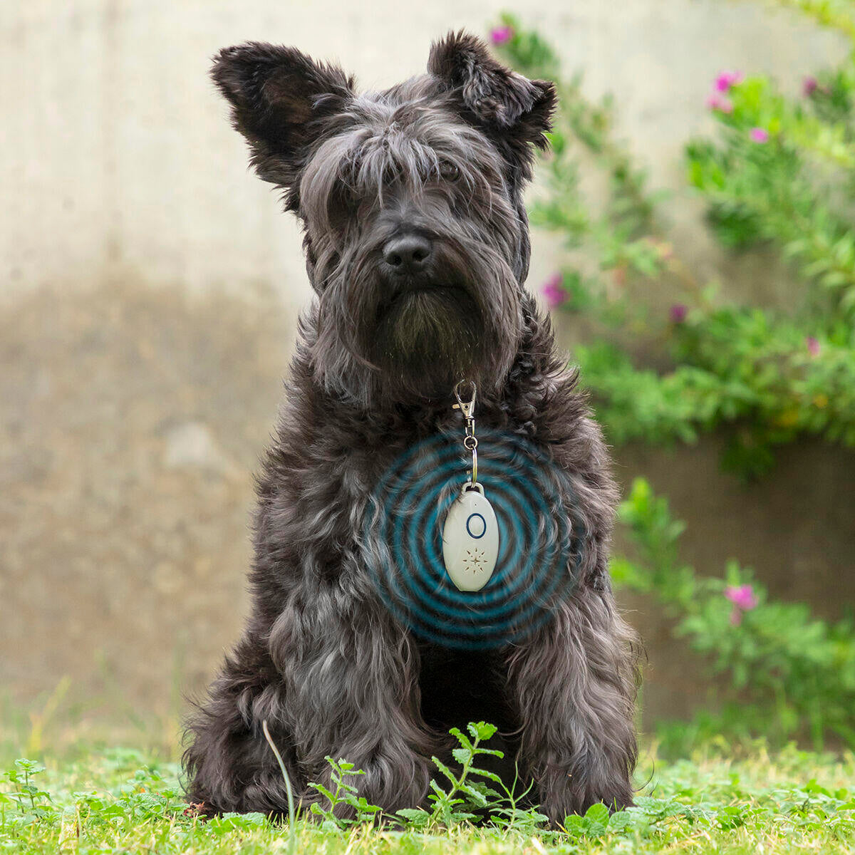 PETREP S-ULTRA - Antiparásitos por Ultrasonidos Recargable para Mascotas