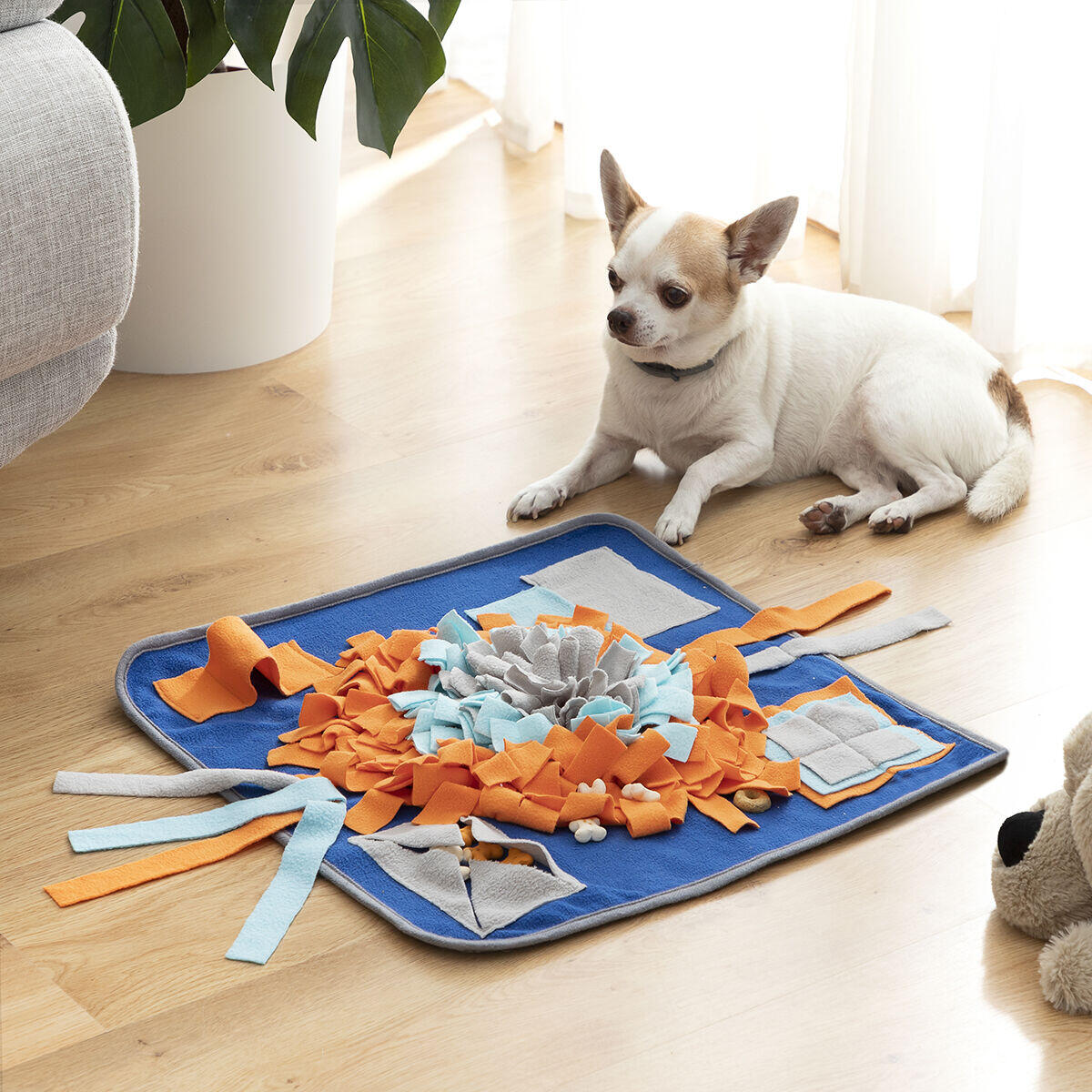 FOOLAND - Alfombra Olfativa para Mascotas