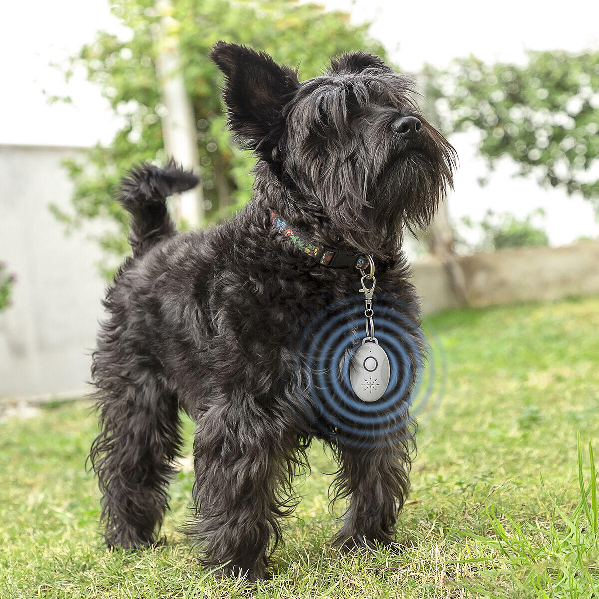 PETREP S-ULTRA - Antiparásitos por Ultrasonidos Recargable para Mascotas