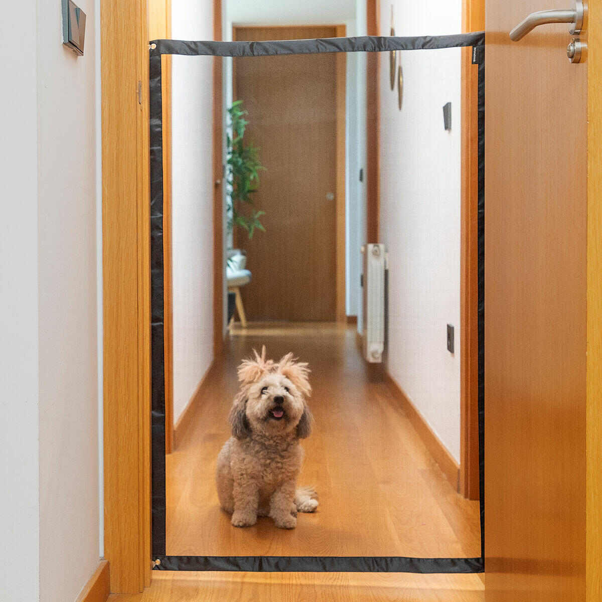 PETINU - Red de Seguridad para Mascotas