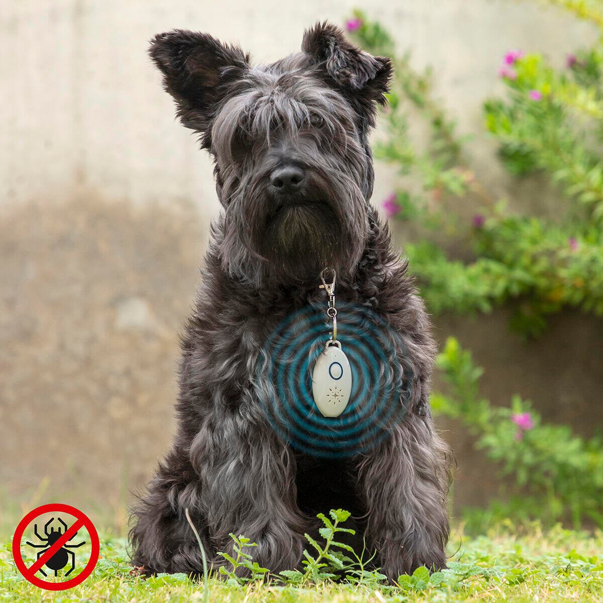PETREP S-ULTRA - Antiparásitos por Ultrasonidos Recargable para Mascotas
