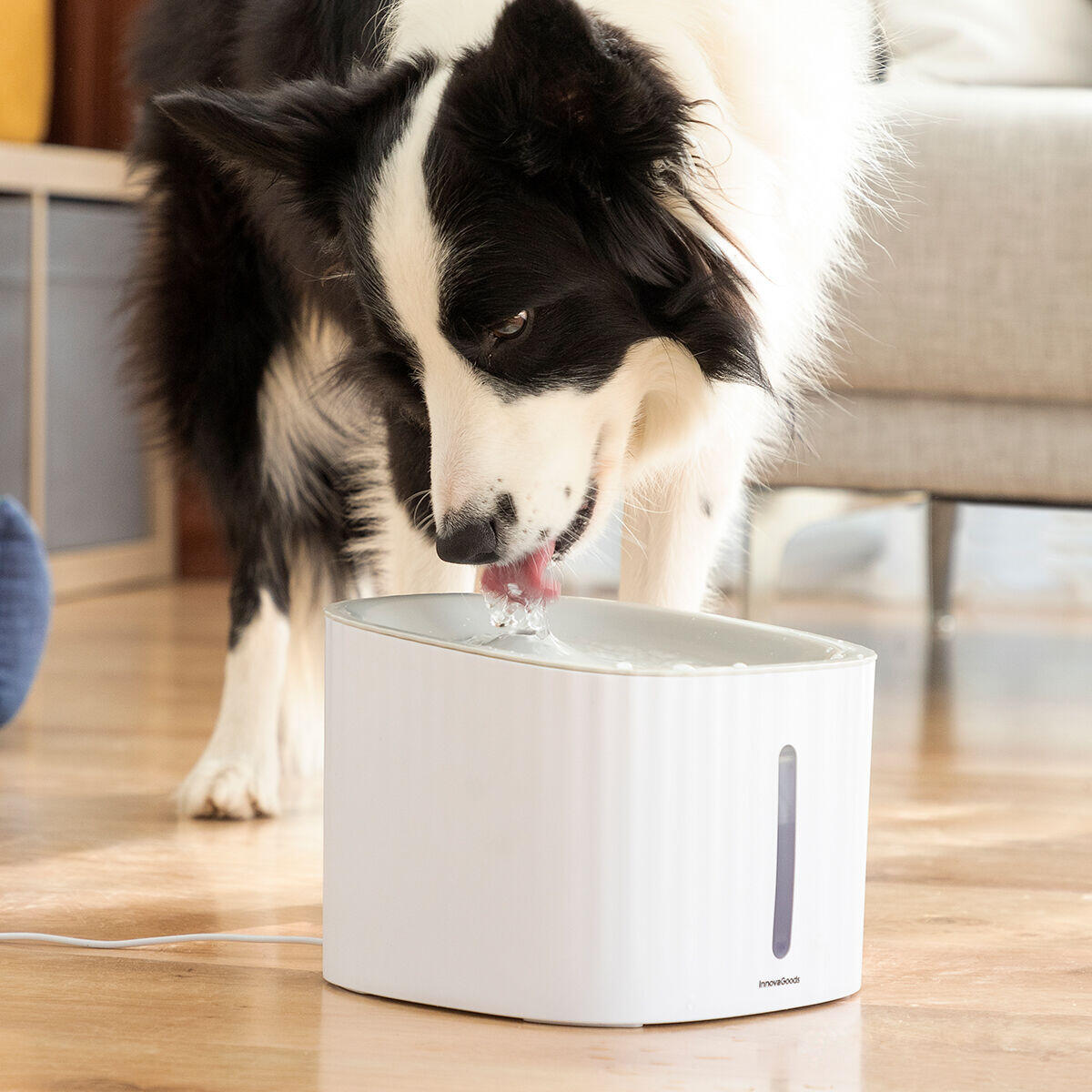DRINKATT - Fuente de agua fresca para Mascotas